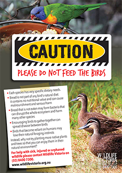 Poster do not feed the birds