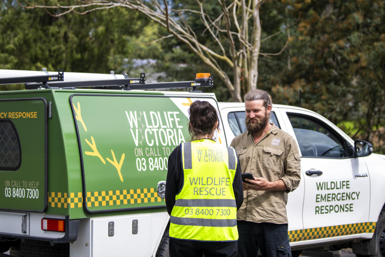 Wildlife Rvt Travelling Veterinary Service - Wildlife Victoria - Wildlife Victoria